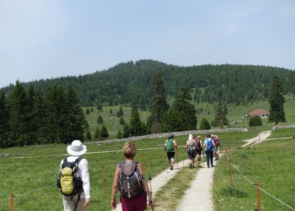 Un paradis pour la randonnée pédestre